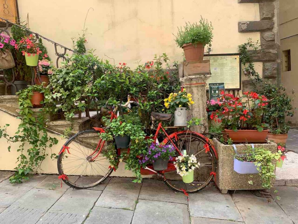 a bike with flowers in Cortona Tuscany