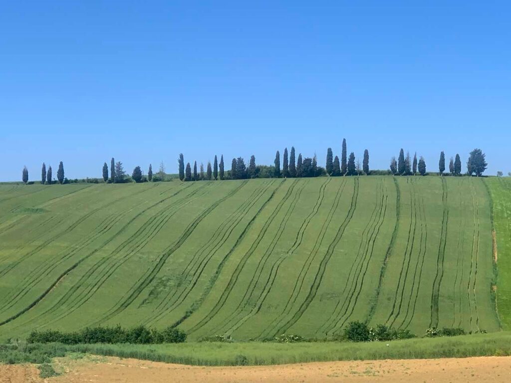Countryside in the Montepulciano Italy area