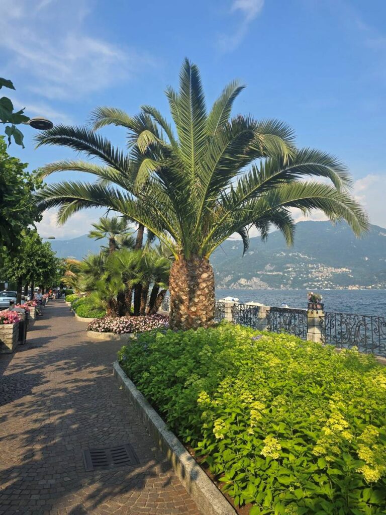 The waterfront promenade in Menaggio along Lake Como