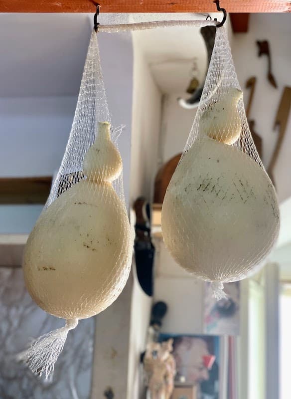 Food in Puglia: 23 Foods I Tried and Loved, From Cime di Rapa to Caffè Leccese Pear-shaped Caciocavallo cheeses hanging in mesh nets to age