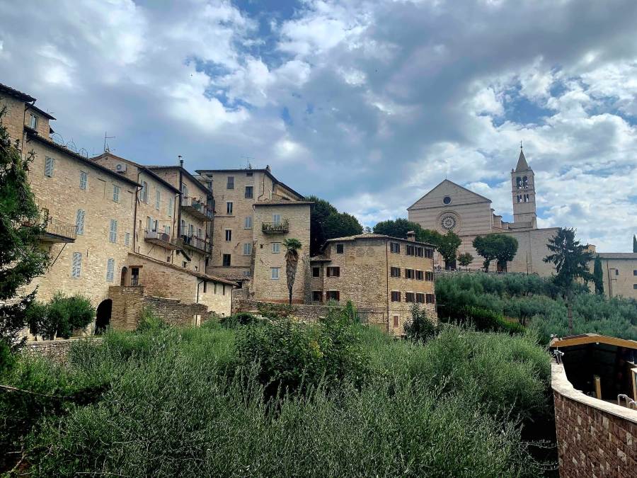 View of historic stone buildings and olive groves with the Basilica of Saint Clare in medieval Assisi, Umbria, Italy